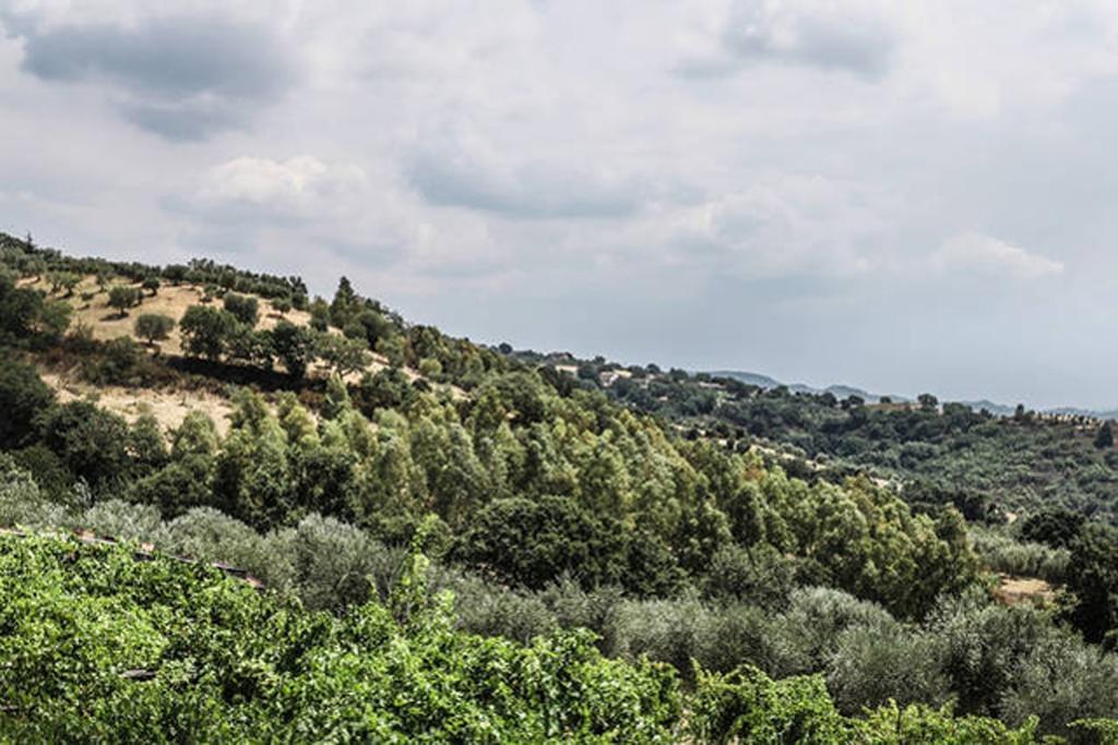 Agriturismo Miracco Atanasio Franco "Il Maniero" Villa Santa Sofia d'Epiro Exterior photo