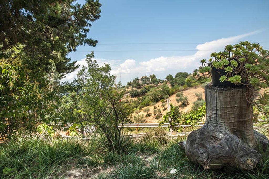 Agriturismo Miracco Atanasio Franco "Il Maniero" Villa Santa Sofia d'Epiro Exterior photo